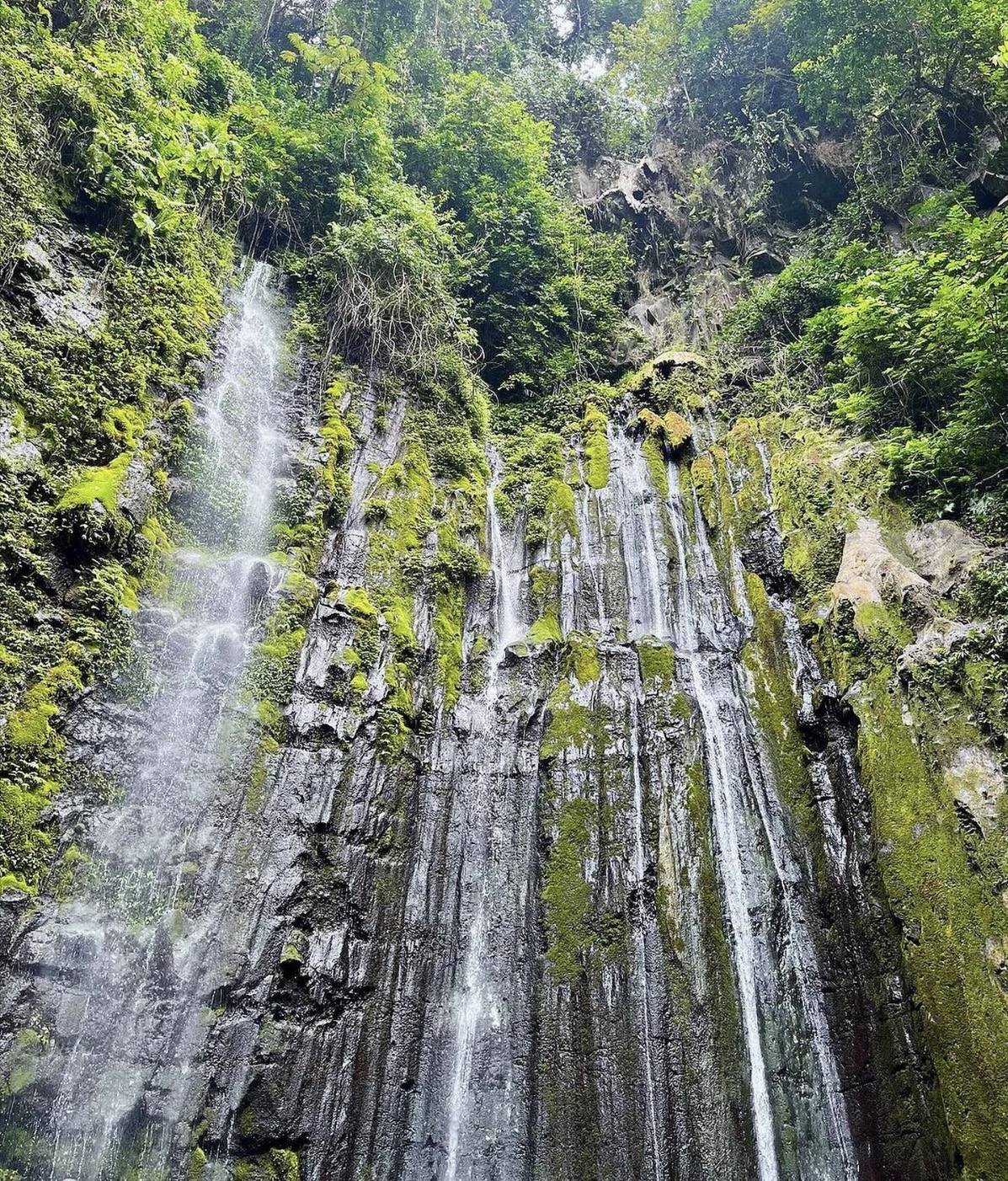 Bilelipa Waterfalls