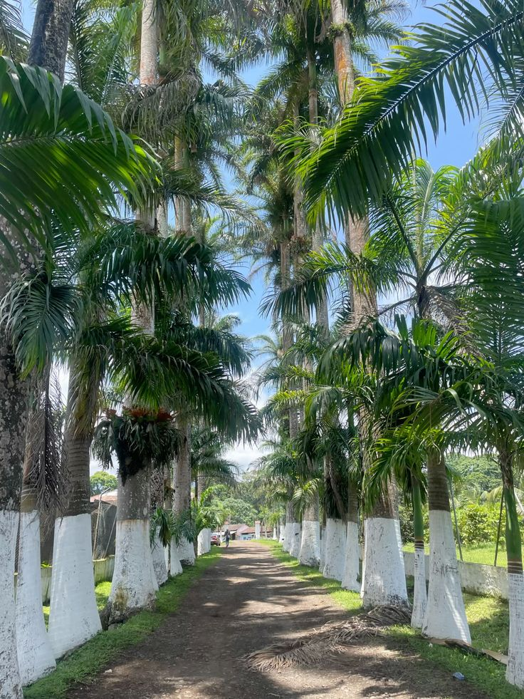 Sampaka Estate