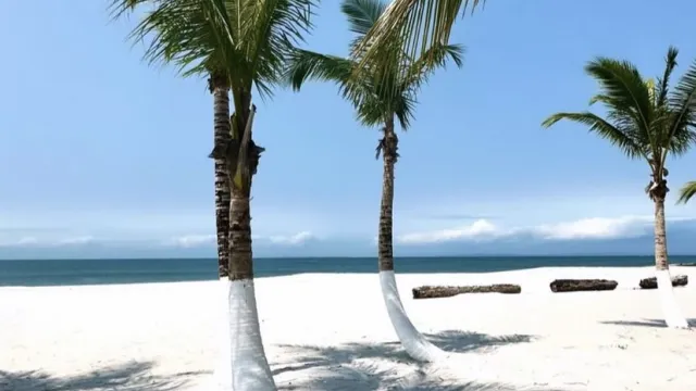 Corisco Island