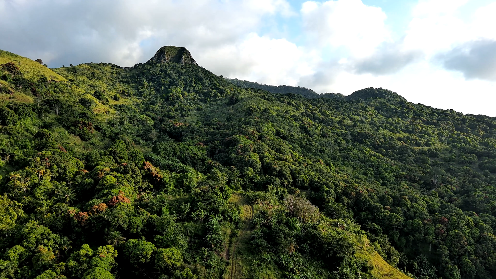 Pico Basilé National Park